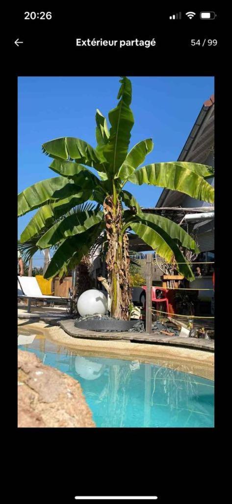 Mouxy A La Marc'Quize Chambres D'Hotes, Petit Dejeuner Compris, Avec Piscine A Debordement En Exterieur, Bain Nordique A 38 Degres En Prestation Supplement Sur Reservation Horaire Anticipee 1 Place De Parking Gratuite Sur Place מראה חיצוני תמונה